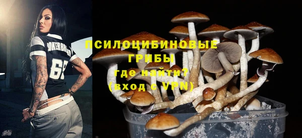 МДПВ Армянск