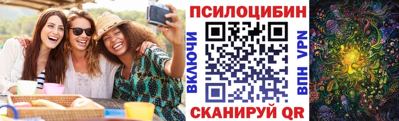 купить  сайты  Новохопёрск  Псилоцибиновые грибы Cubensis 